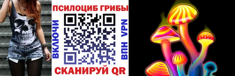 закладка  Петушки  Псилоцибиновые грибы мицелий 